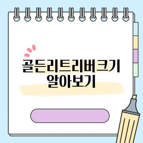 골든리트리버크기 알아보기