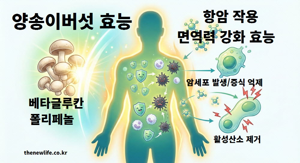 양송이버섯 효능 중 항암 작용과 면역력 강화를 설명하는 인공 이미지