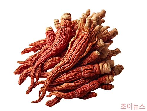 홍삼
