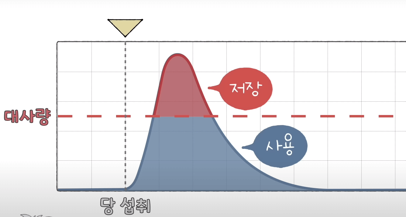 GI높은음식