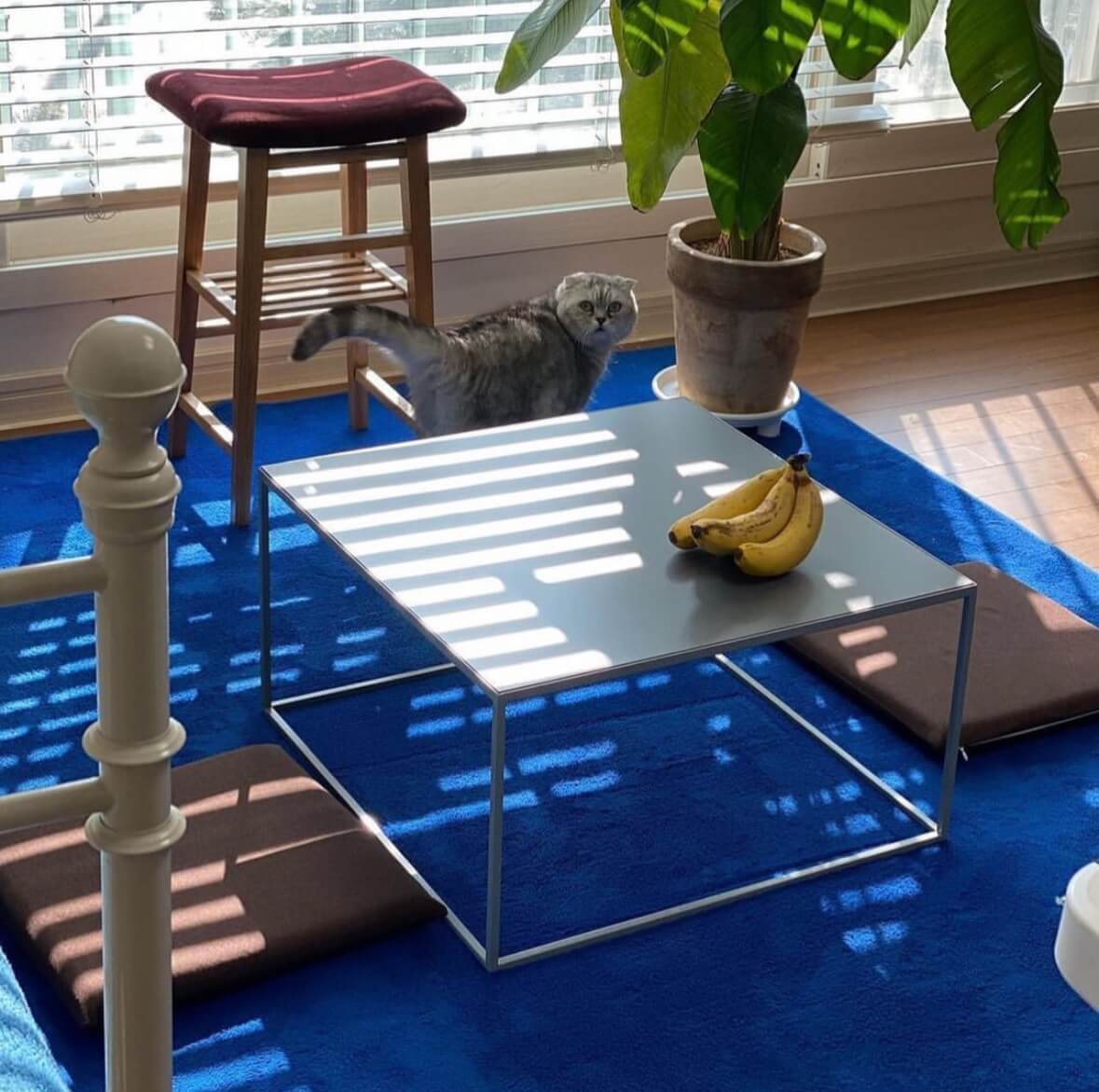 성수_라익디스_팝업스토어