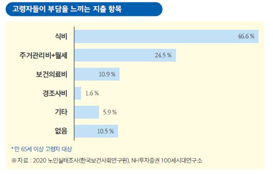 고령자들이 부담을 느끼는 지출항목