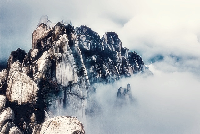 결국 국민이 합니다.