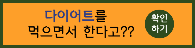 다이어트약