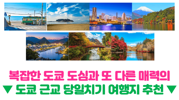 난카이-대지진-일본-여행-취소-안하고-강행-시-체크-리스트-지진-물품-준비-한국-대사관-한국-영사관-위치-준비