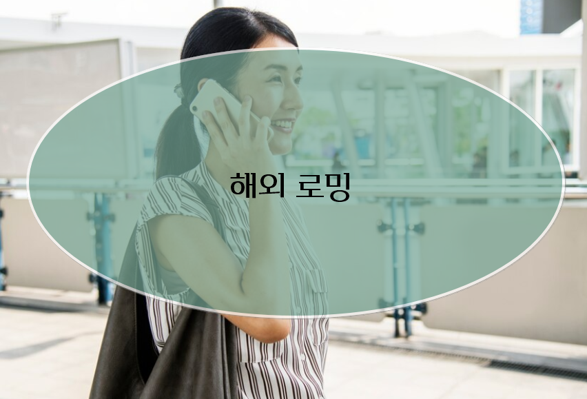 해외 로밍