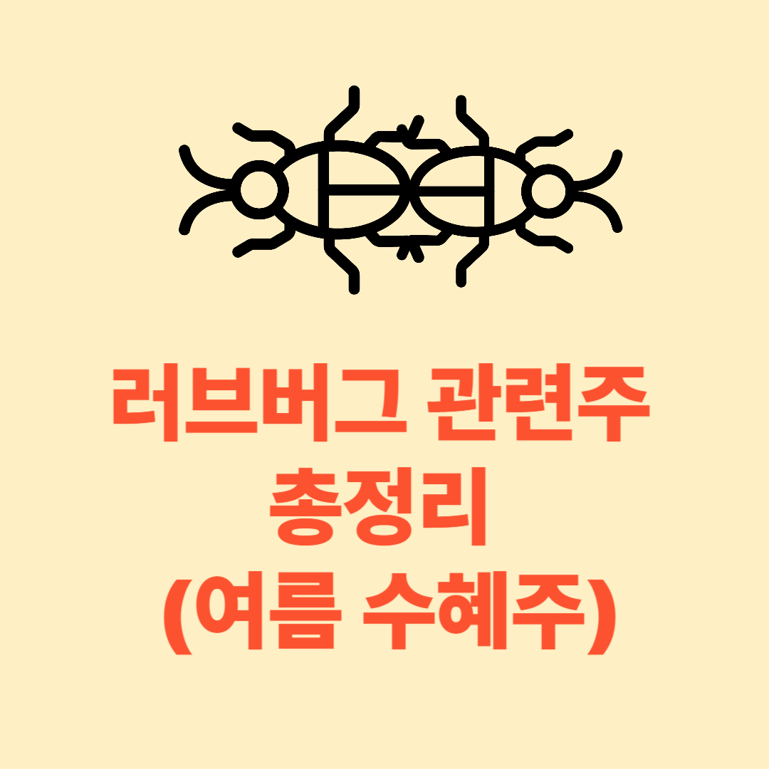 러그버그 관련주식