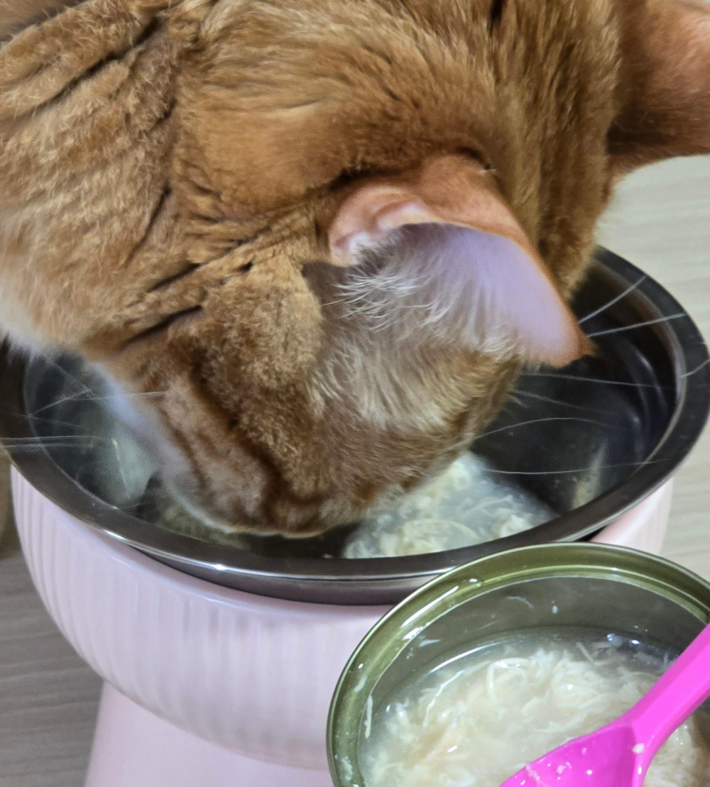 와구 핑크라벨 닭가슴살 캔6