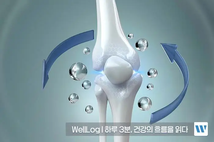 콘드로이친 효능, 복용법, 주의사항