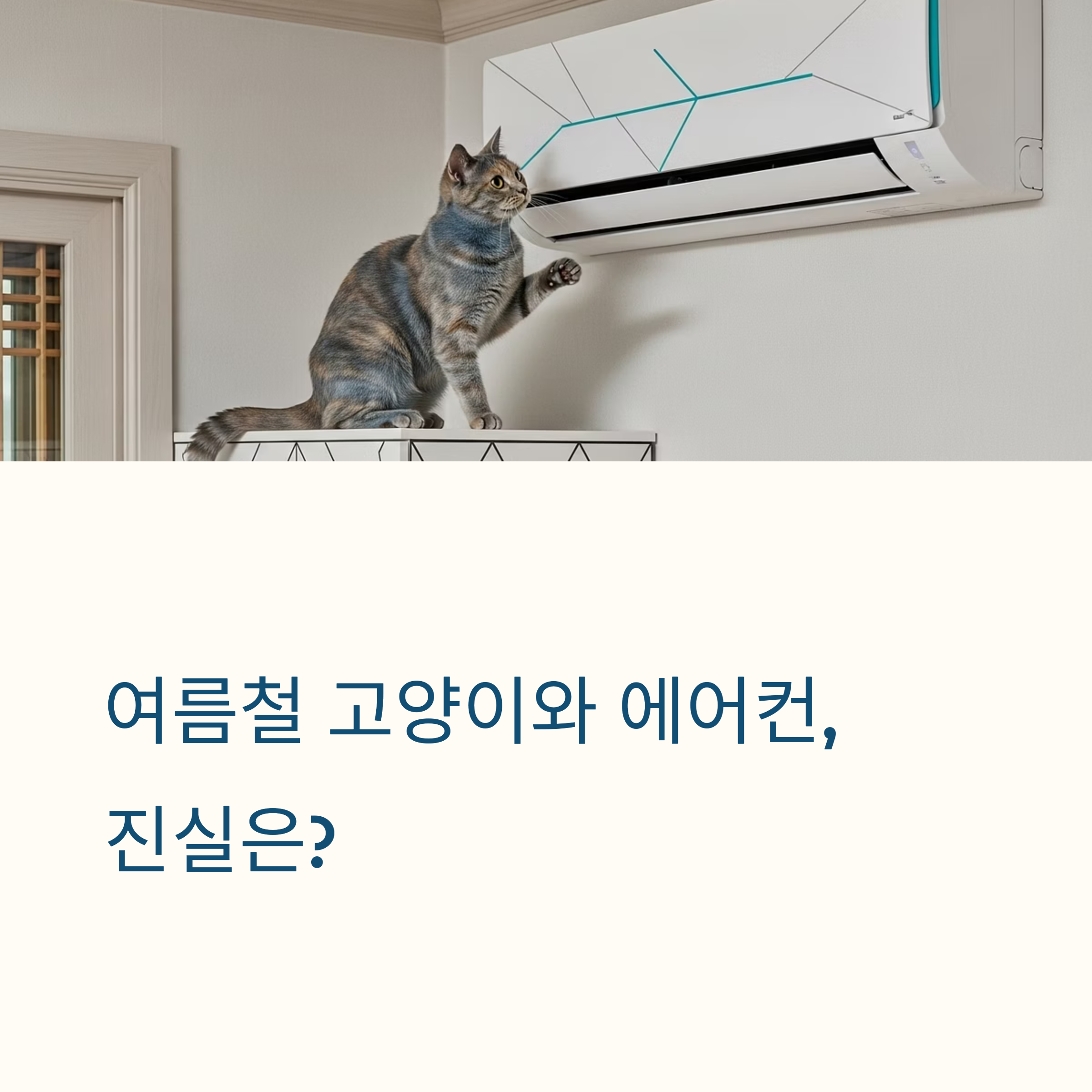 여름철 고양이와 에어컨, 진실은?