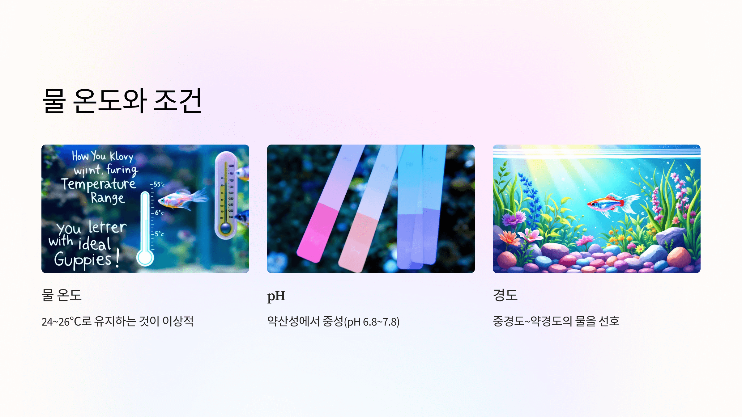 구피 사진입니다.