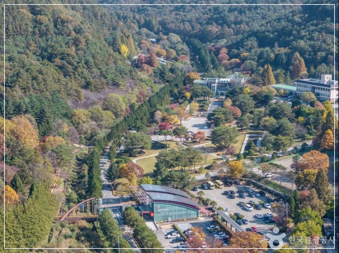 청주 가볼만한곳 베스트10 미동산수목원