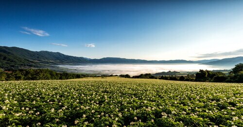 숲나들이E 예약