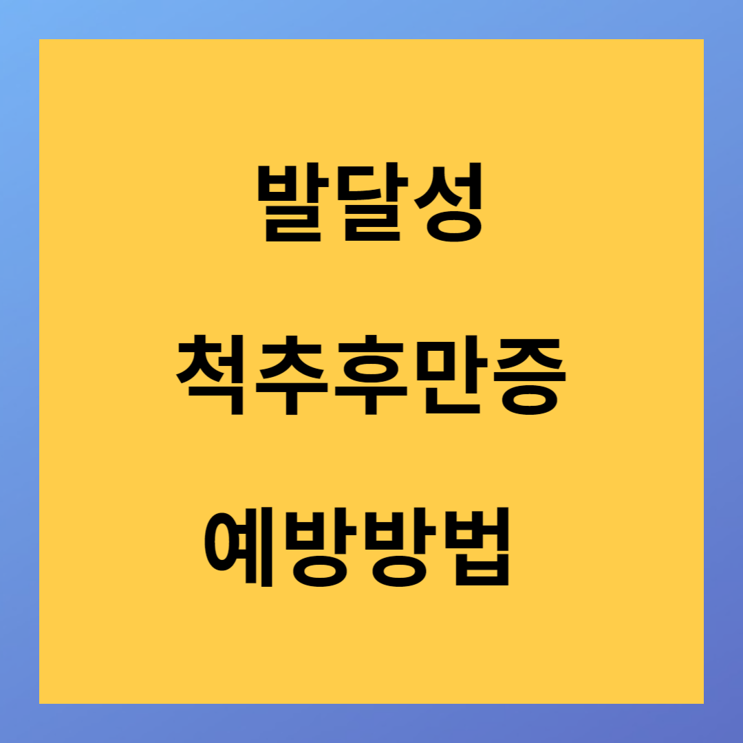 발달성 척추후만증 증상 예방방법