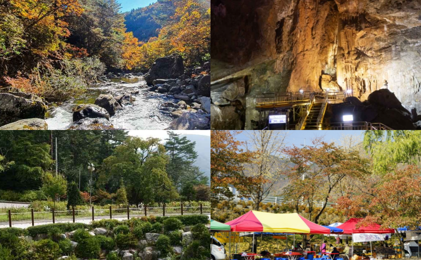 정선 가볼만한곳