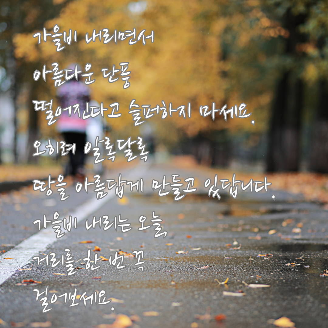 가을비 내리는 날 인사말 이미지 문구 모음