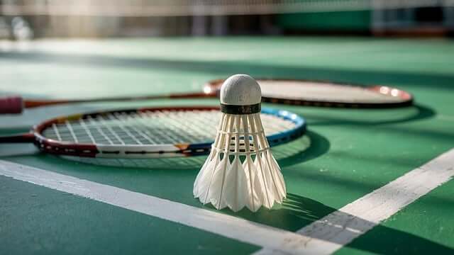 안세영 국제대회 일정