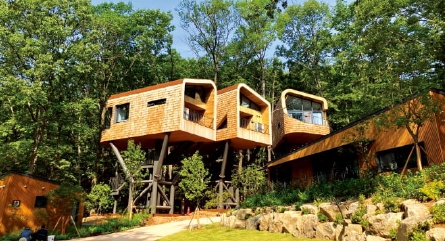 수락휴 트리하우스