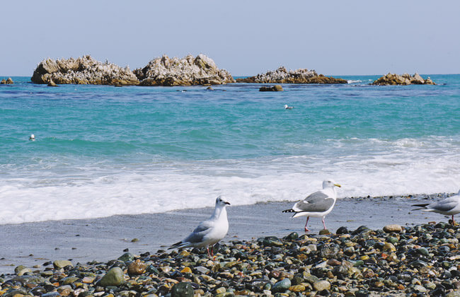 경주 가볼만한곳