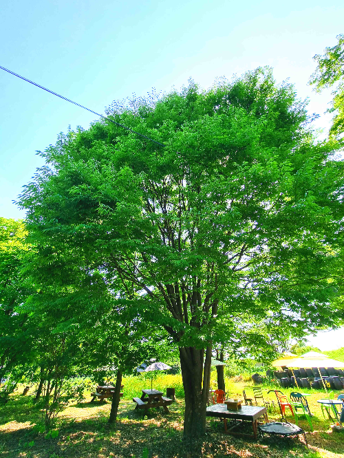 김포본가 소쇄원, 간장게장, 김포맛집, 강화맛집