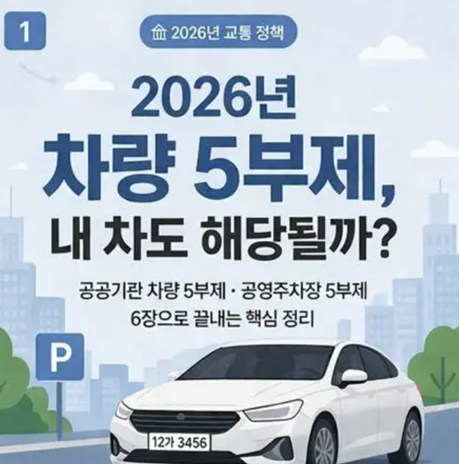 “지금 시행 중! 차량 5부제 총정리 (과태료·예외 차량 확인 필수)”