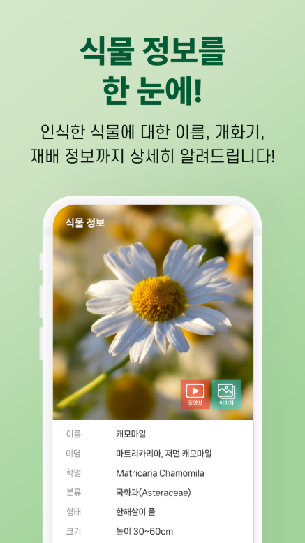 식물이름 찾기 어플, 식물도감 식물조회