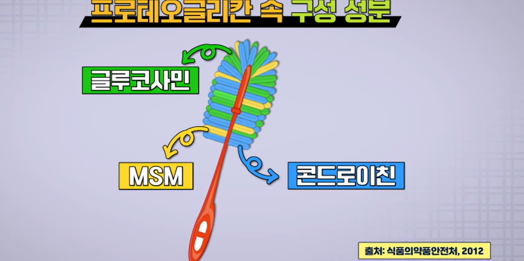 프로테오글리칸