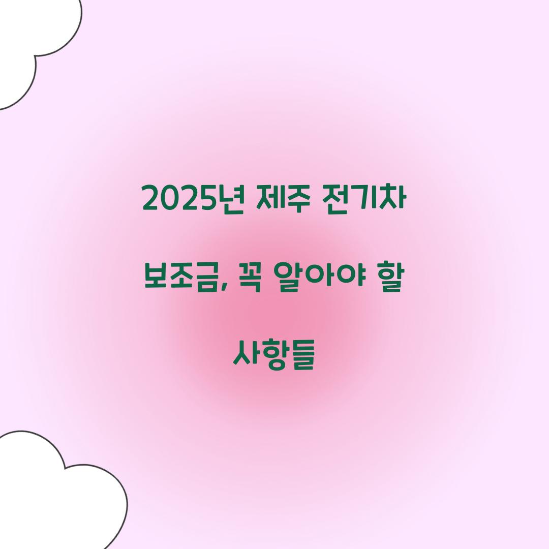 제주 전기차 보조금