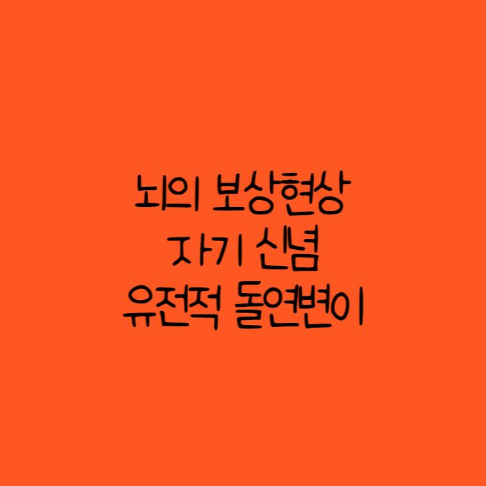 뇌의 보상현상