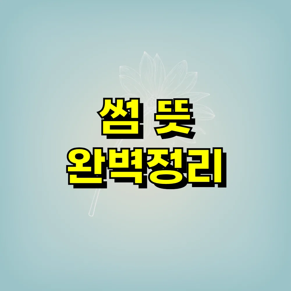 썸 뜻 완벽정리