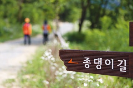 충주호 출렁다리 종댕이길
