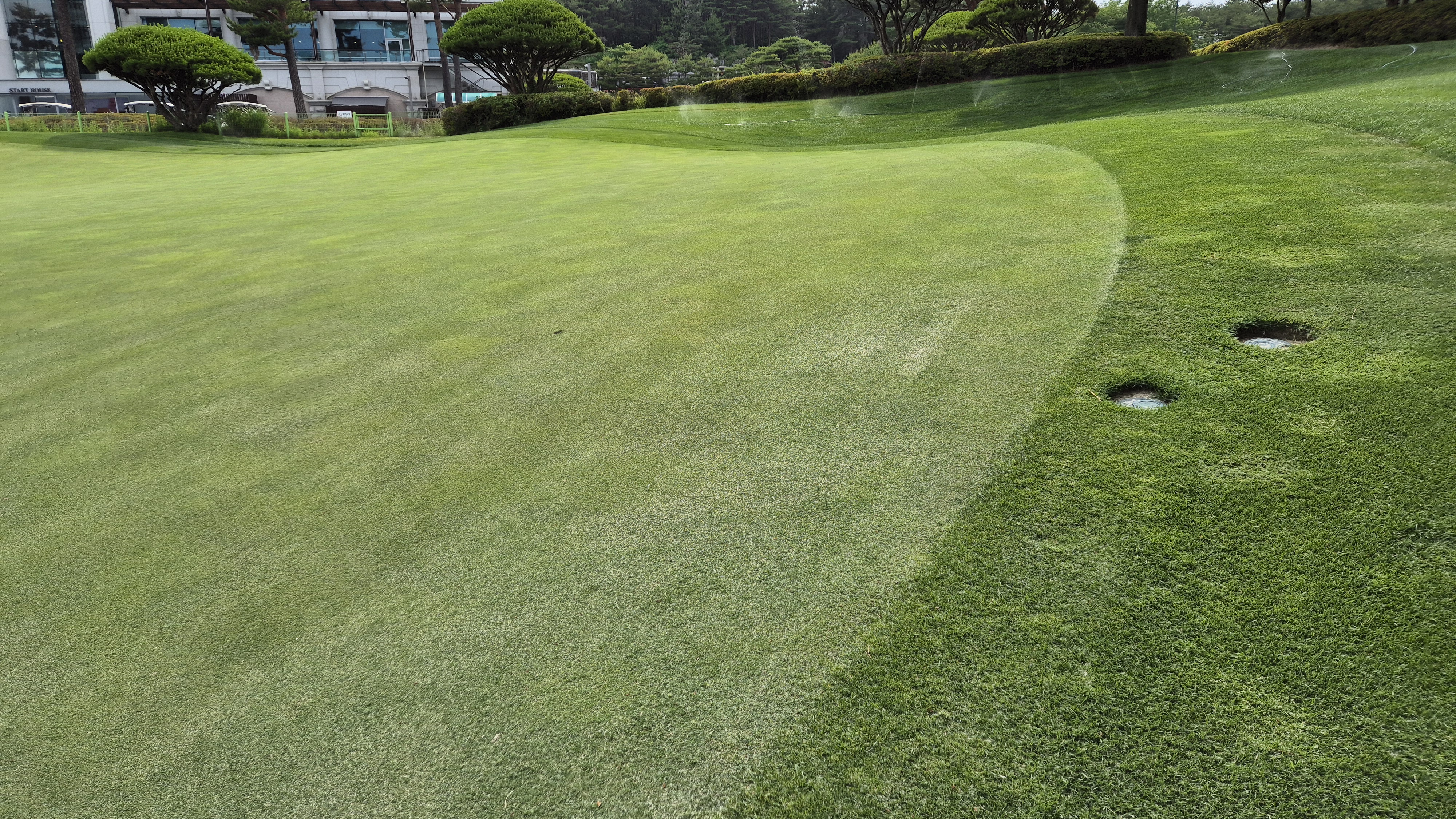 파인리즈cc 라운드 후기