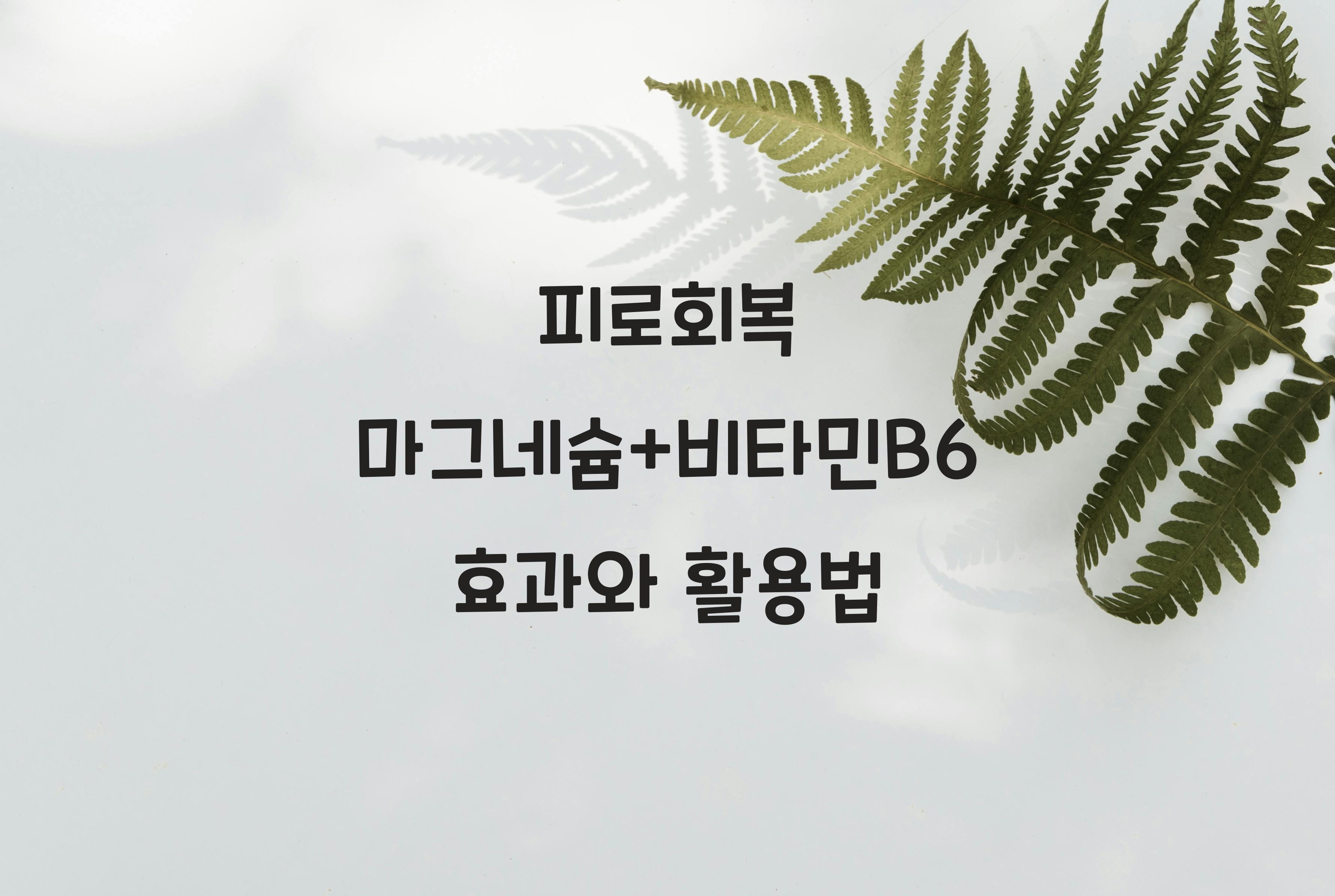 피로회복 마그네슘+비타민B6