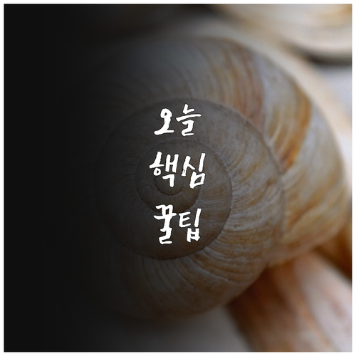 2025 인천문화재단 트라이보울 50..