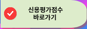 나이스신용평가