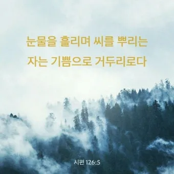 시편 126편 5 6절 씨뿌리는 자_7