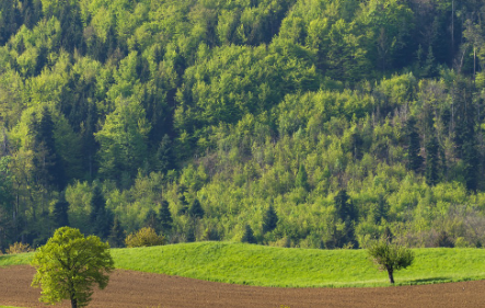 탄소중립 실천포인트: 신청방법, 혜택, 참여방법