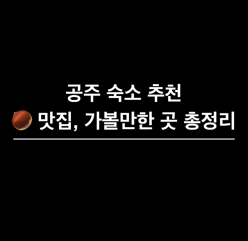 공주 숙소&#44; 공주 로컬하우스&#44; 공주 한옥 숙소&#44; 공주 맛집&#44; 공주 카페&#44; 공주 김피탕&#44; 피탕김탕 후기&#44; 공주 한옥 베스트&#44; 공주 가볼만한 곳 베스트&#44; 한옥 숙소 추천