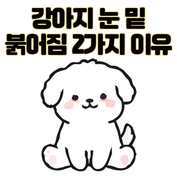 강아지 눈 밑 붉어짐 2가지 원인 모르면 후회해요