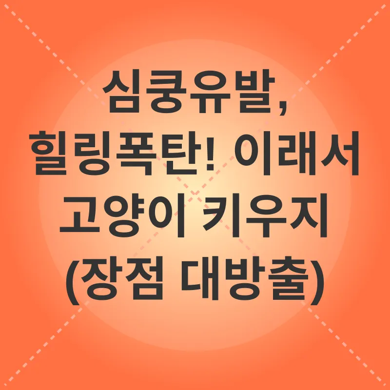 고양이 키우기_2