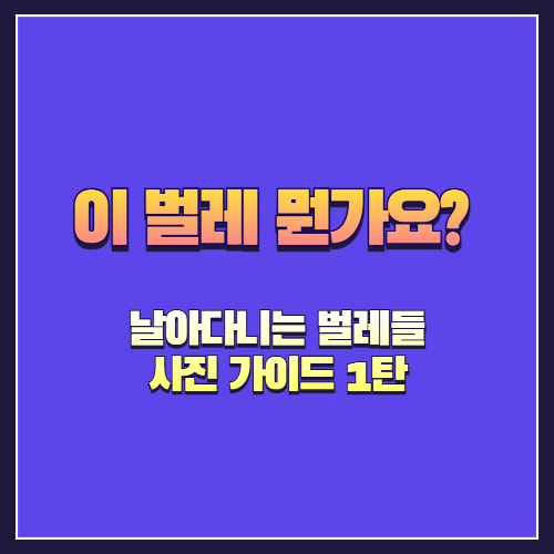 이 벌레 뭔가요? 날아다니는 벌레들 사진 가이드 1탄
