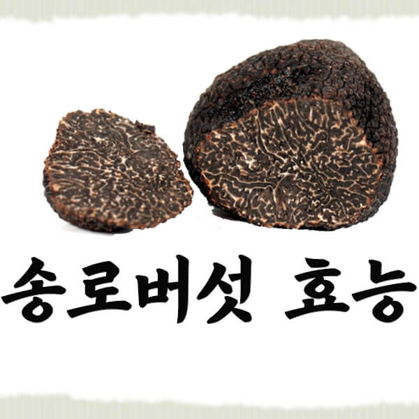 송로버섯사진