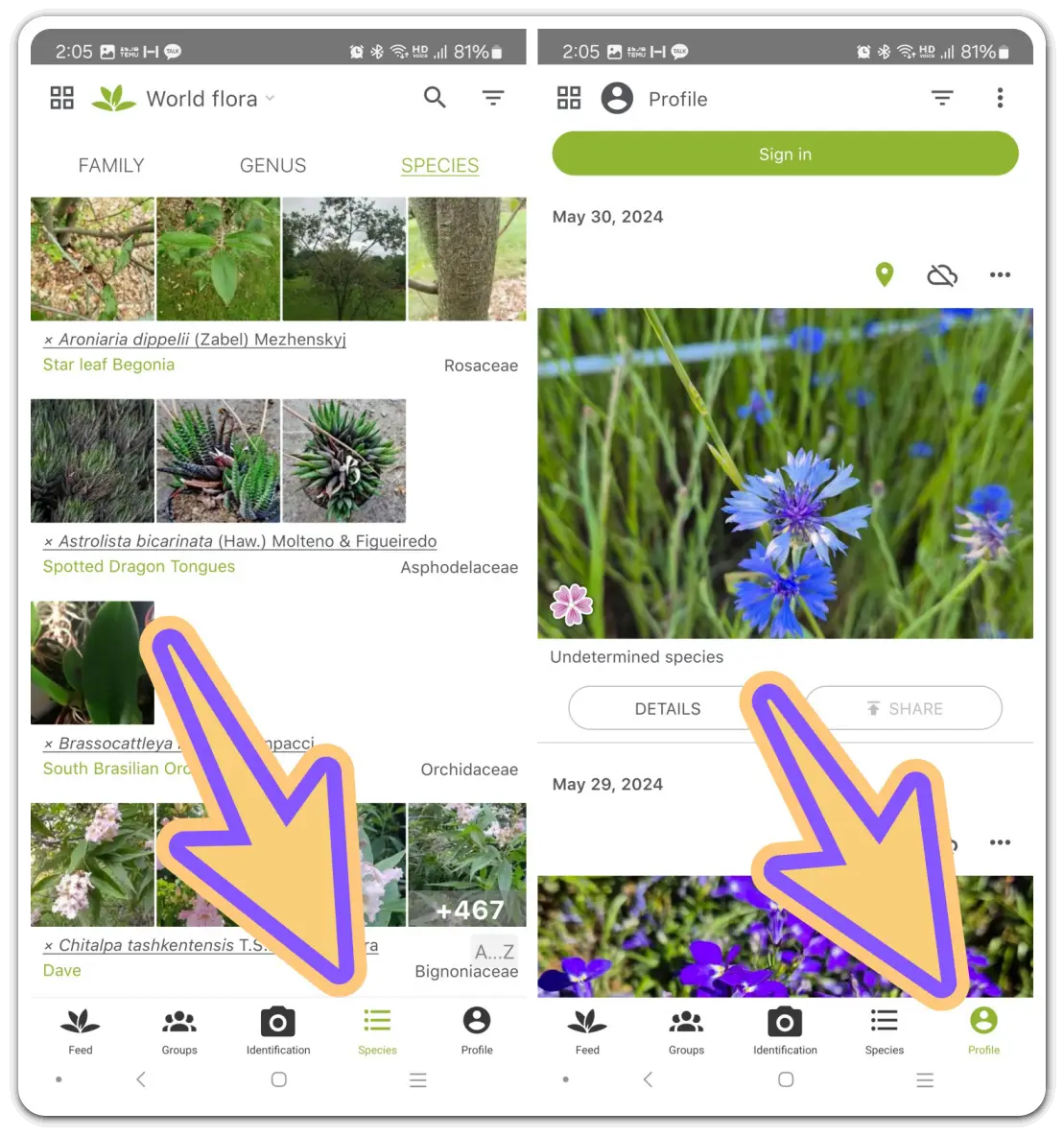 꽃-화초-이름-검색-찾기-무료-어플