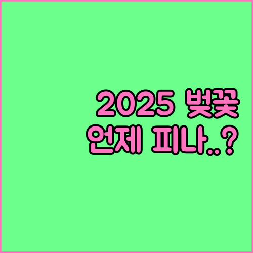 2025년 전국 벚꽃 만개 시기 요약..