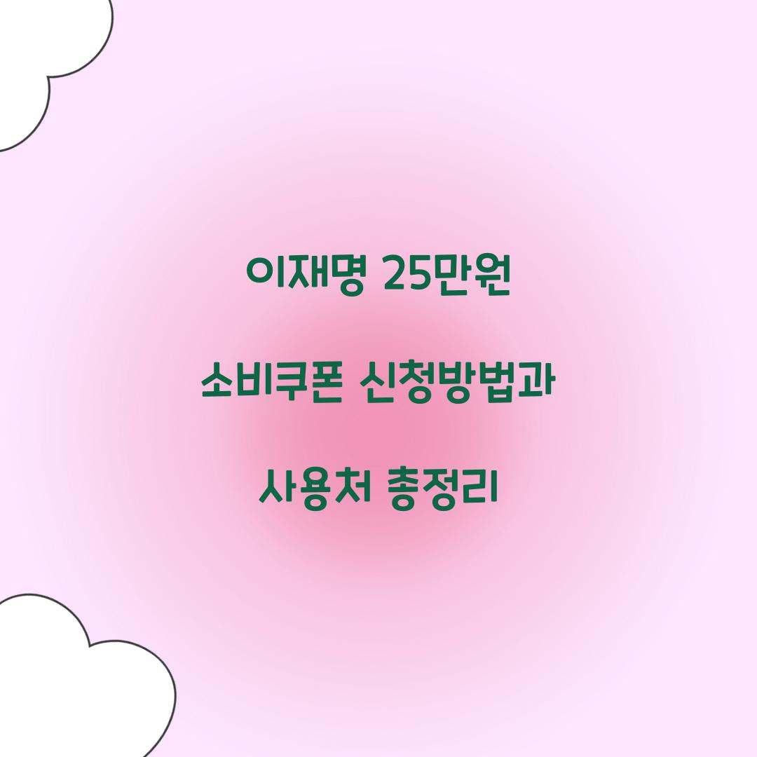 이재명 25만원 소비쿠폰 