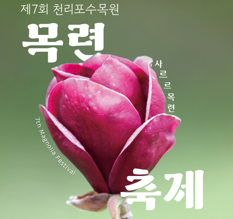 천리포목련축제