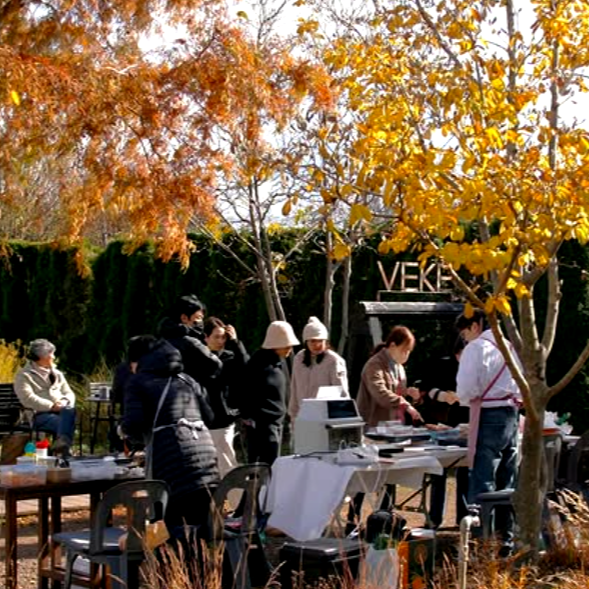 특색있고 아름다운 민간 정원 30선 추천 여행 - 09. 제주 베케정원