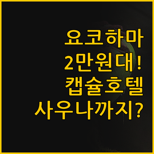 요코하마 캡슐 플러스 2만원대 가격에..