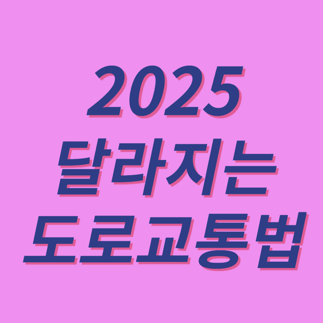 2025 달라지는 도로교통법