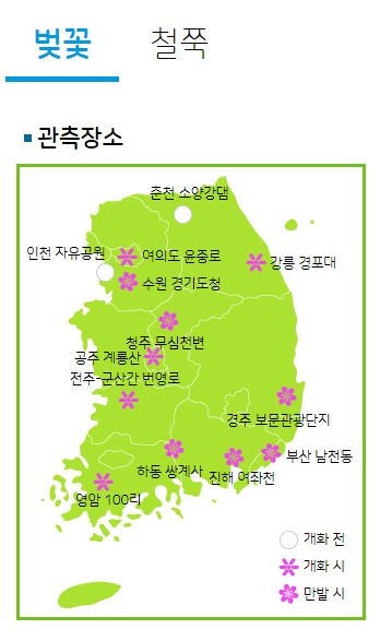 기상청 벚꽃개화현황지도